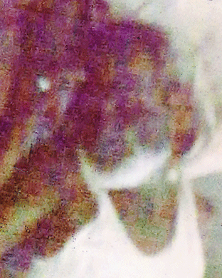 Person