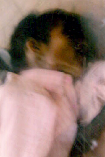 Person