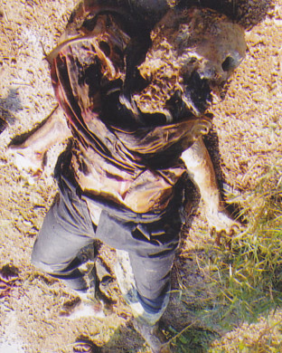Person