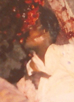 Person