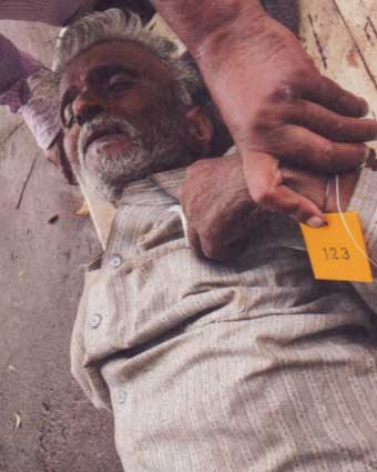 Person